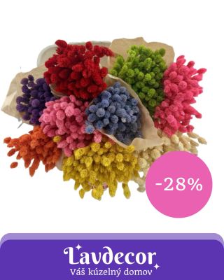 ✨ Phalaris, ktorý rozžiari každý aranžmán! Phalaris, známy aj ako kanárska tráva, je obľúbený pre svoje jemné klasy a...