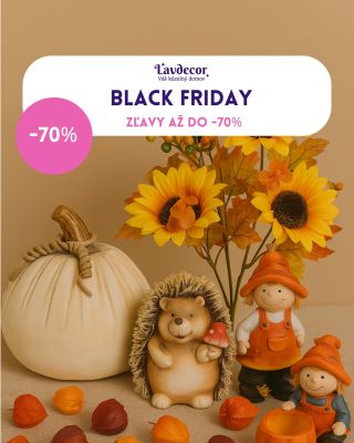 ✨ Black Friday, ktorý rozžiari váš domov! Nakúpte jesenné dekorácie so zľavami až do –70 %. Dekorácie, kvetiny, keramika a...